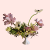 ULTRAVIOLETS - Image 5