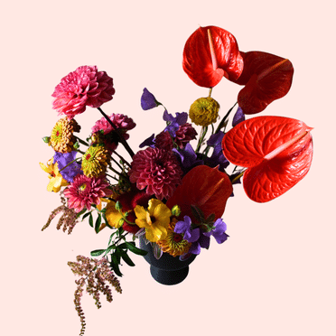 HEAVY PETAL