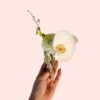 POCKET BOUTONNIERE