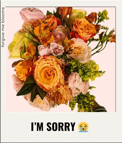 apology flowers austin