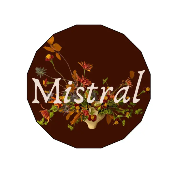 MISTRAL - Image 7